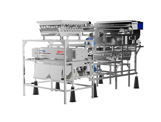 ποιότητας  Customized Fruit Sorting Machine Belt Type 1.0-1.5T/H Blueberry Color Sorter εργοστάσιο